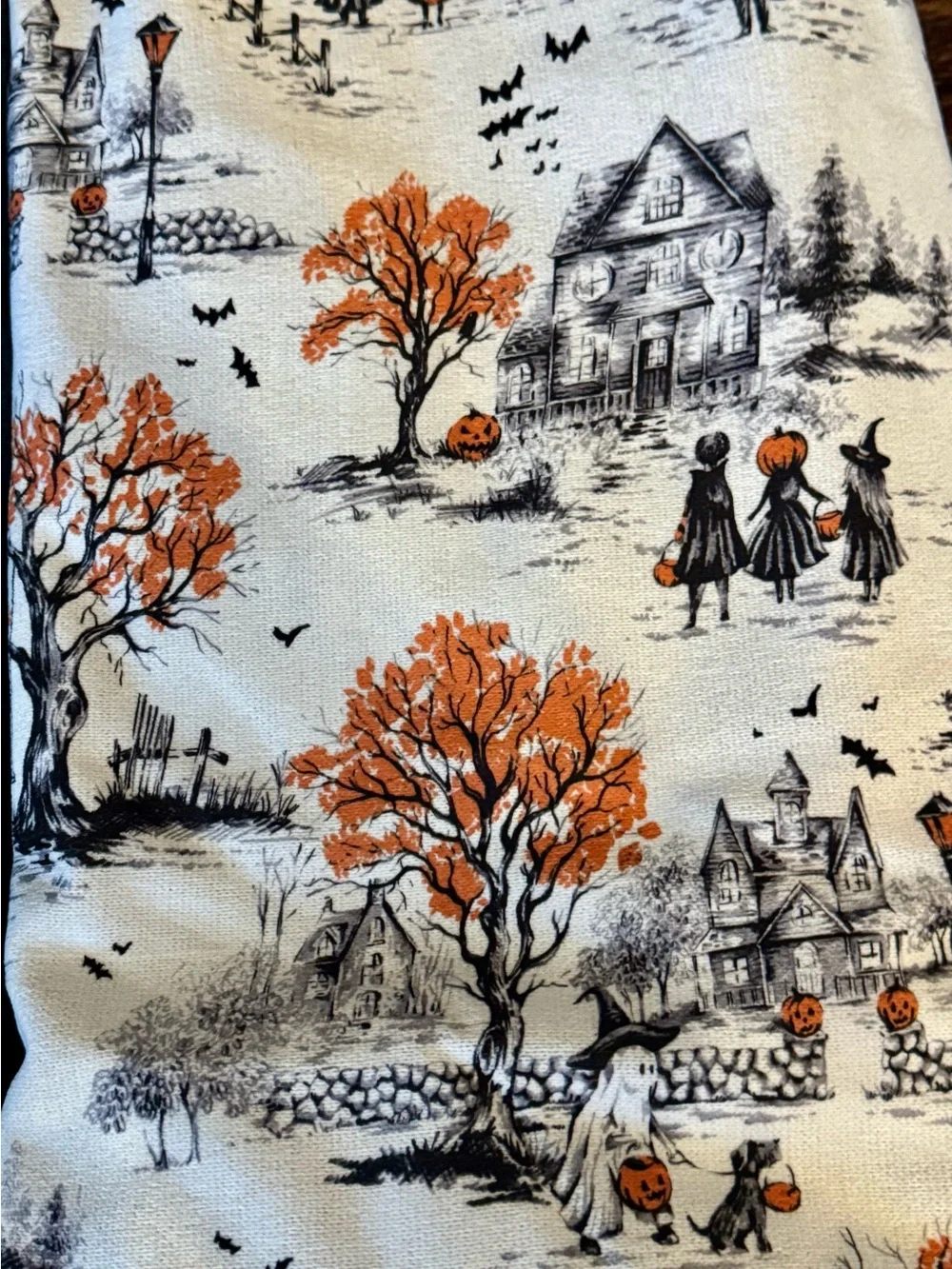Nicole Miller Halloween Village Reversible Decorative Throw - Gorgeous Blanket!